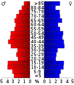 Piramida ludności