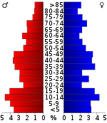 Pyramida obyvatelstva  