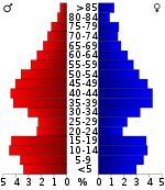 Pirámide de población  