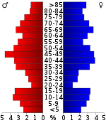 Pirámide de población  