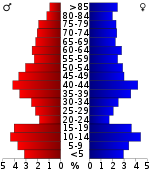 Pirámide de edad  