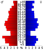 Amžiaus piramidė