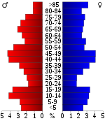 Pirámide de edad