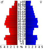 Pirámide de población  
