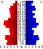Leeftijdspiramide