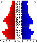 Pirámide de edad  
