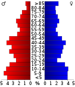 Pirámide de edad  