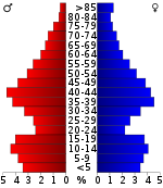 Pirámide de población  