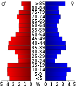 Pirámide de edad  
