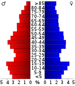 Pirámide de edad  