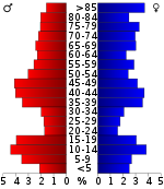 Pirámide de edad  