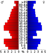 Ikäpyramidi  