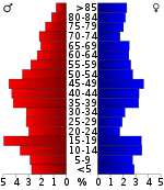 Věková pyramida  