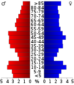 Pirámide de edad  