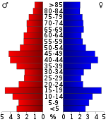 Pirámide de edad  