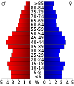 Pirámide de edad  