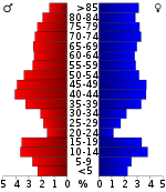 Věková pyramida  