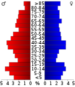 Pirámide de edad  