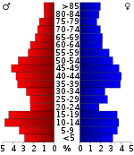 Pirámide de edad  