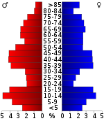 Leeftijdspiramide  