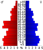 Pirámide de edad  