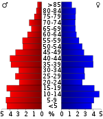 Věková pyramida  