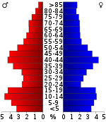 Pirámide de edad  