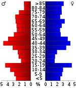 Pirámide de edad  