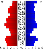 Pirámide de edad  
