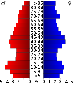 Pirámide de edad  