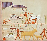 Fresco of ancient Egyptian workers