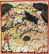 猪狩り、タクイヌム・サニタティス・カサナテンシス(14世紀)