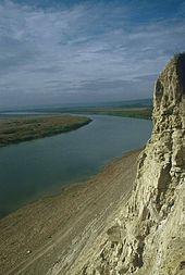 The river Amga