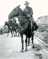 Falklandčania na koňoch v roku 1936, na koni v typickom falklandskom štýle s obvyklou výstrojou gaucho