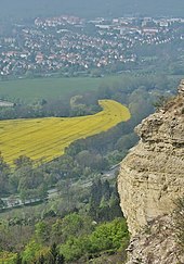 On the heights of the Jenaer Scholle it is on average 1 to 1.5 °C colder than in the city.