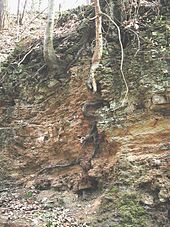 Transition zone between gypsum keuper and reed sandstone in the former Heilbronn quarry near Jägerhaus
