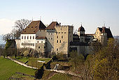 Lenzburgo pilis iš pietų