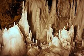 The Apuseni Mountains are known especially for their caves