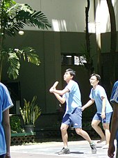 Young Indonesian Rounders