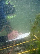 Documentation of finds in underwater archaeology