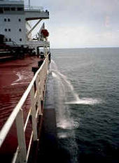 Ballast and bilge water are among the most important vectors for aquatic neobiota.