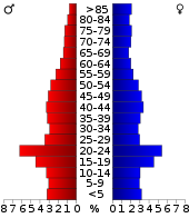 Piramida ludności