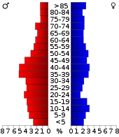 Leeftijdspiramide