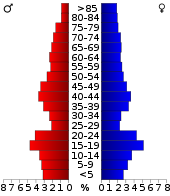 Věková pyramida  