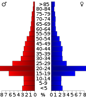 Věková pyramida  