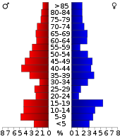 Vanusepüramiid