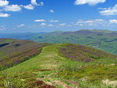 Eastern Carpathians - Bieszczady - a Polonina, Poland