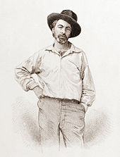 Walt Whitman, 35 let, z frontispisu knihy Leaves of Grass, Fulton St., Brooklyn, N.Y., ocelorytina Samuela Hollyera podle ztracené daguerrotypie Gabriela Harrisona.