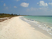 Bahia Honda-stranden i det sydlige Florida.