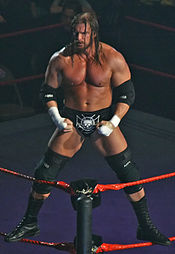 Triple H, der udfordrede John Cena om WWE-mesterskabet